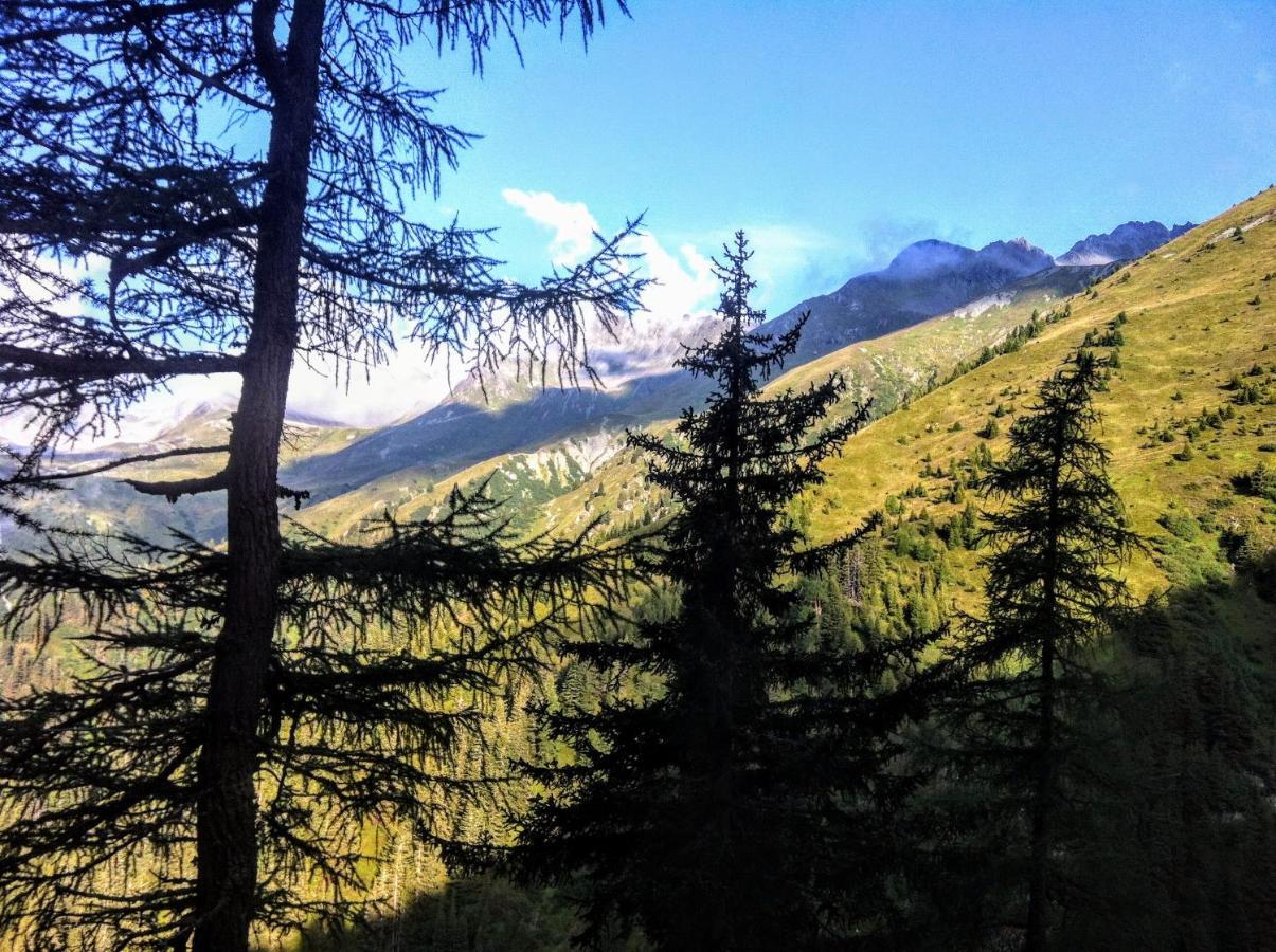 Apartment Cristina - Suedbalkon Mit Bergblick ゼーフェルト・イン・チロル エクステリア 写真